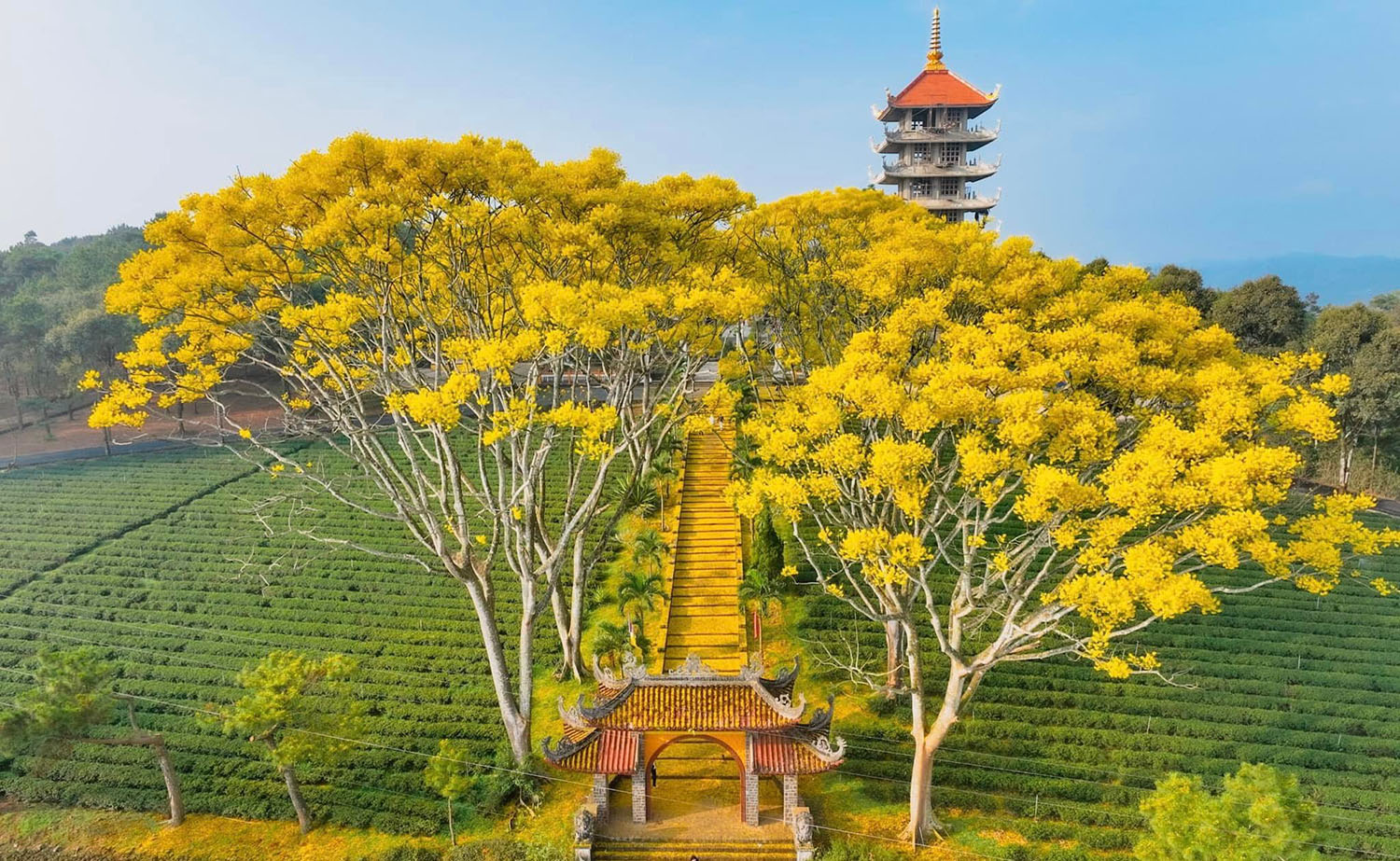 Không gian thanh tịnh tại Tu Viện Bát Nhã